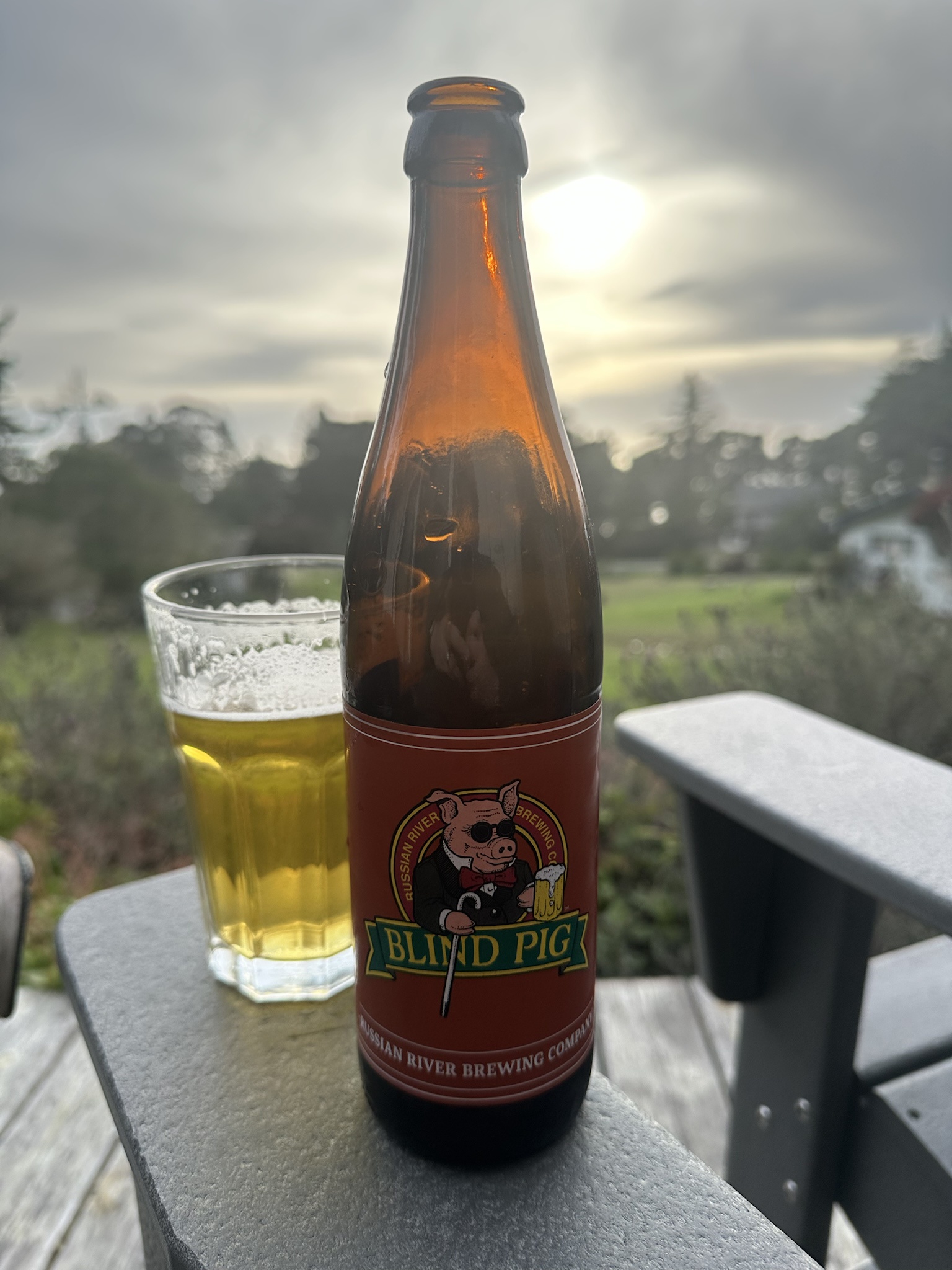 Discover the Unique Flavor of Blind Pig IPA