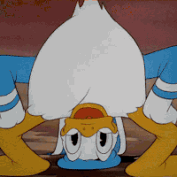 Quirky Duck Adventures