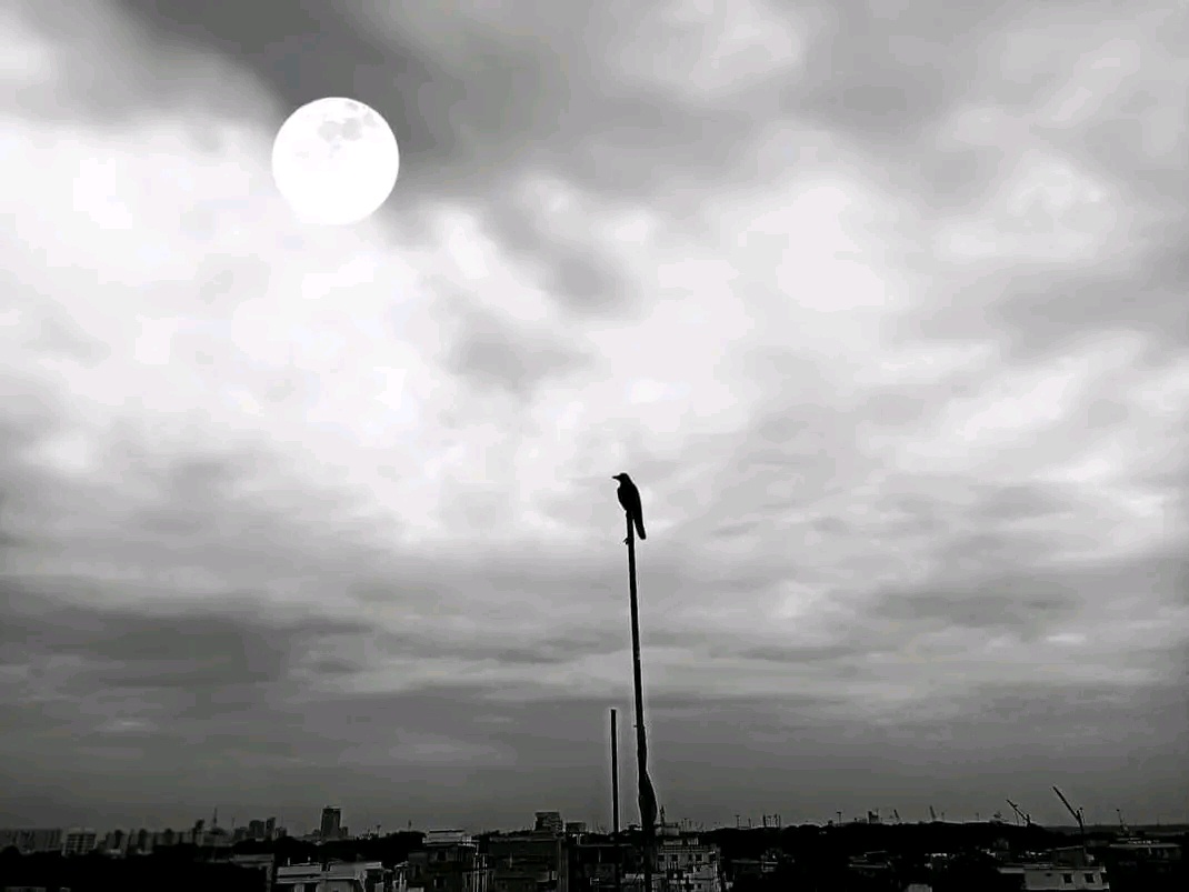 Feeling utterly alone