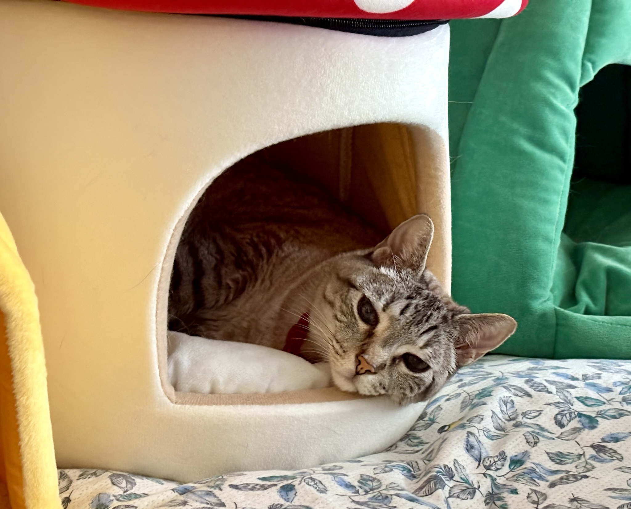 A Tiny Request for a Bite, Please!