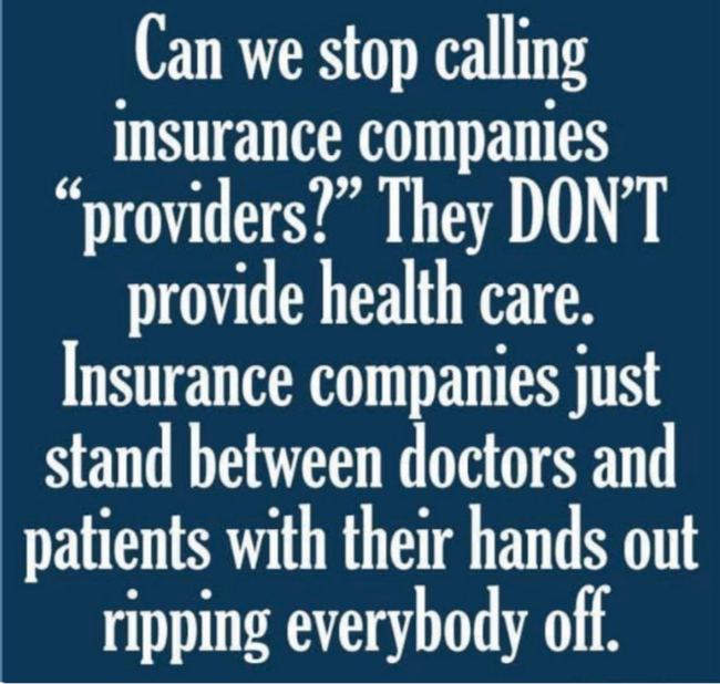 They focus on profits instead of providing health care.