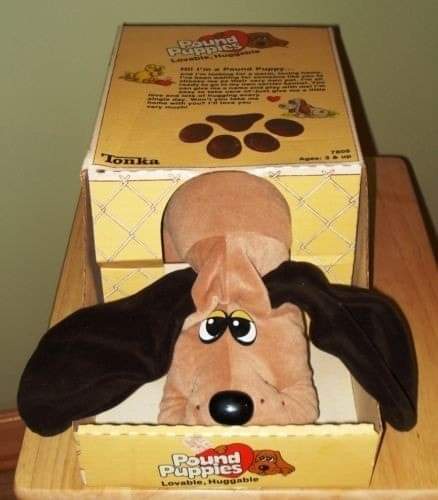 Forget Cabbage Patch dolls; I was all about those adorable Pound Puppies!