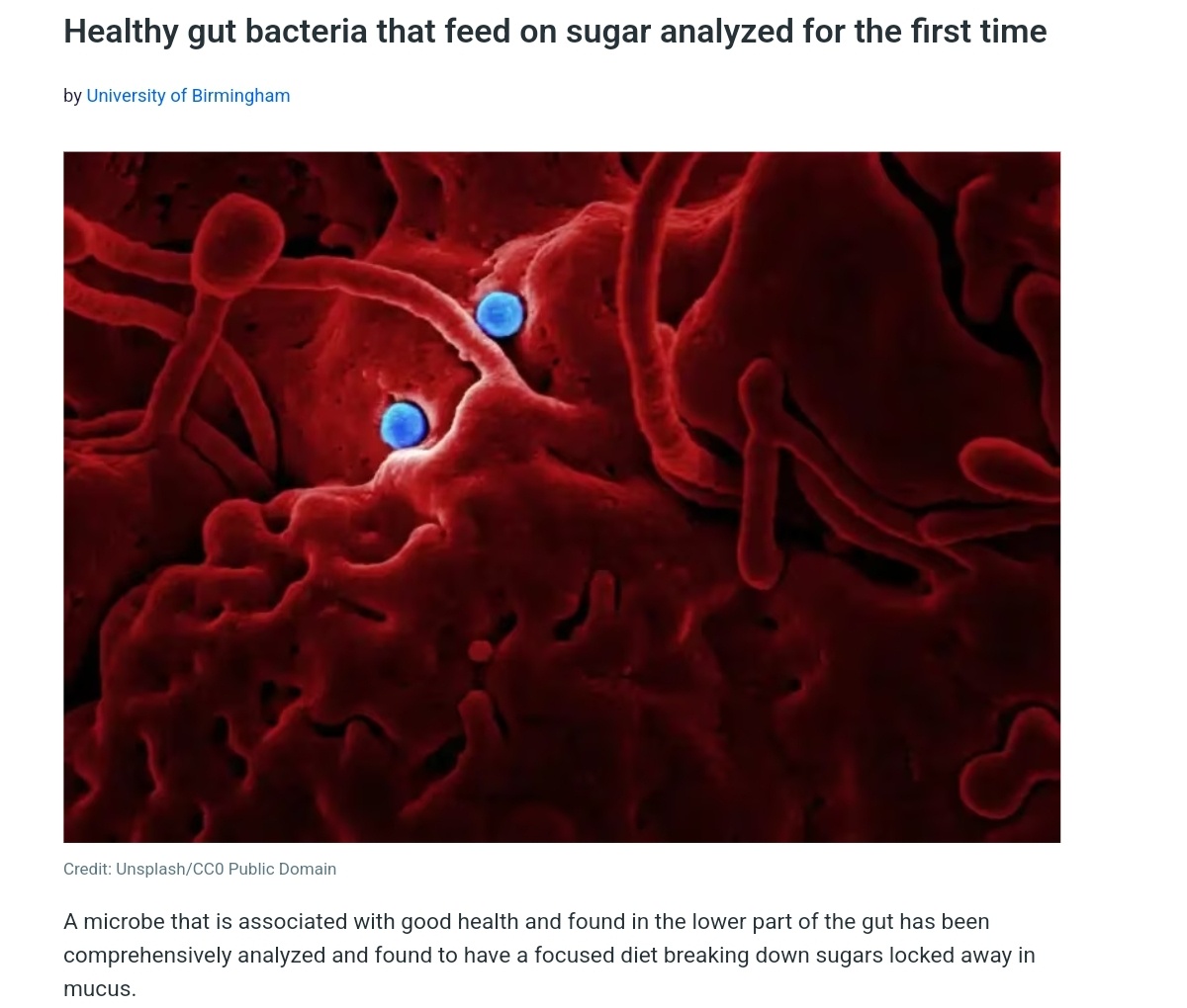 Groundbreaking Analysis of Healthy Gut Bacteria That Thrive on Sugar