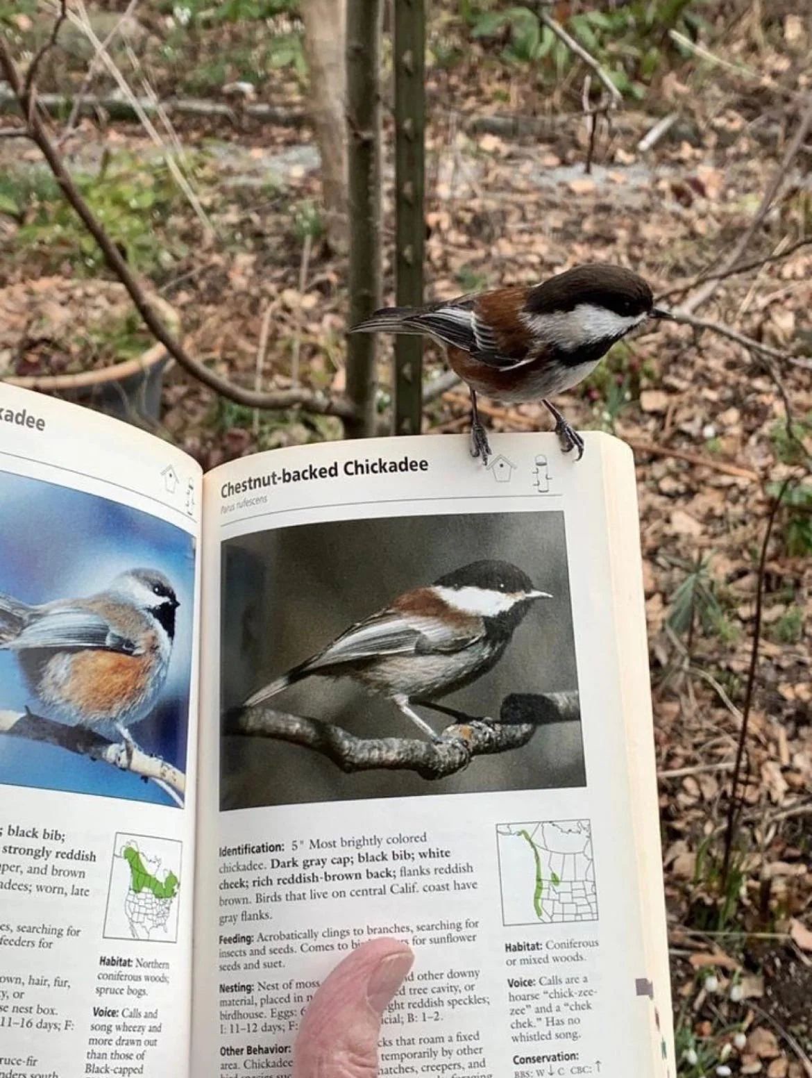 Honey, come quick! You won't believe who made it into a book with their picture!