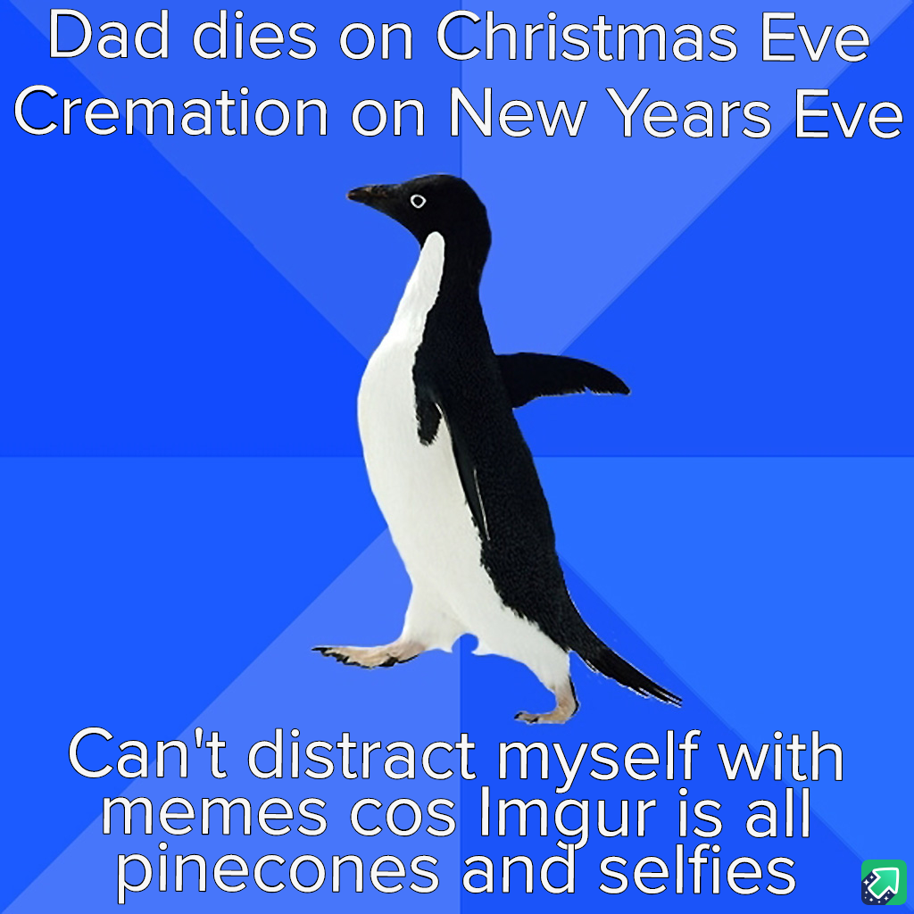 Not a Fan of Winter Holidays, to Be Honest