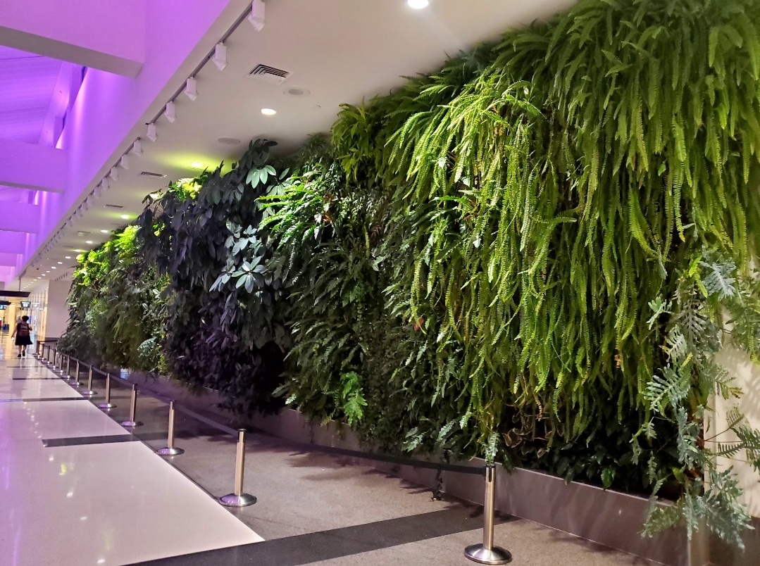 The Living Wall at Birmingham Alabama Airport: A Green Oasis