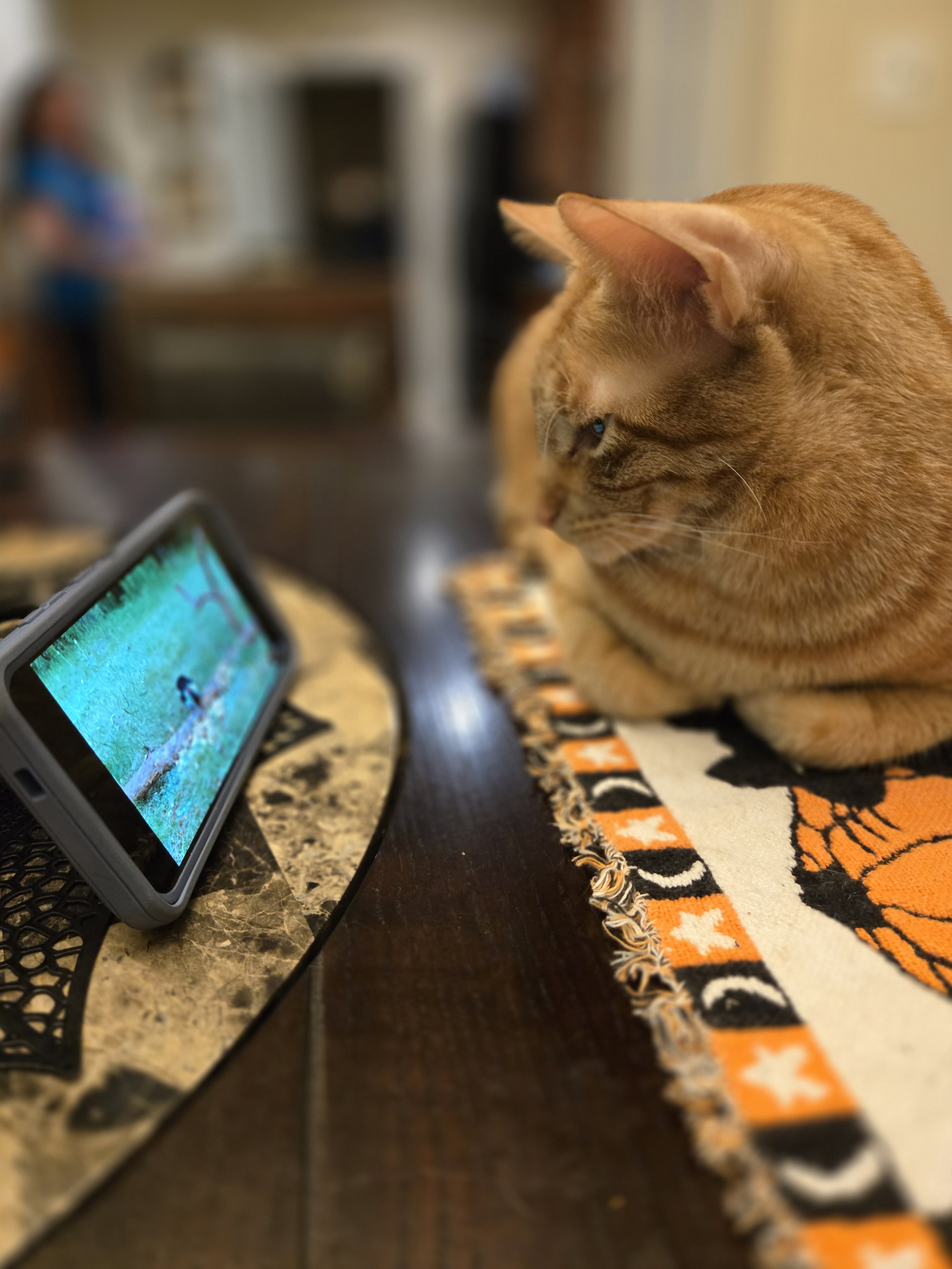 Don Hector Enjoying Bird Watching on YouTube