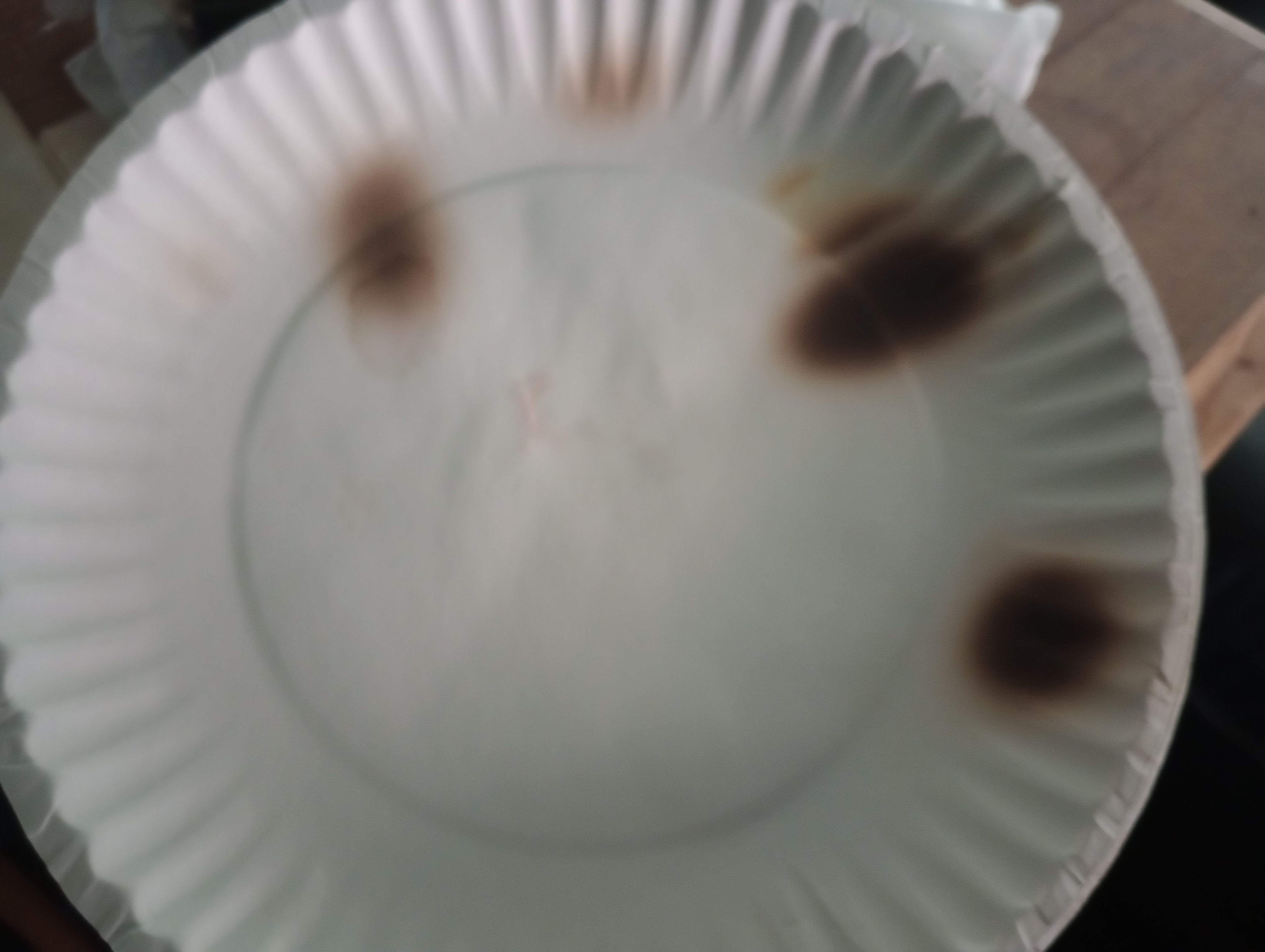 Today I Learned: Paper Plates and the Microwave Don't Mix