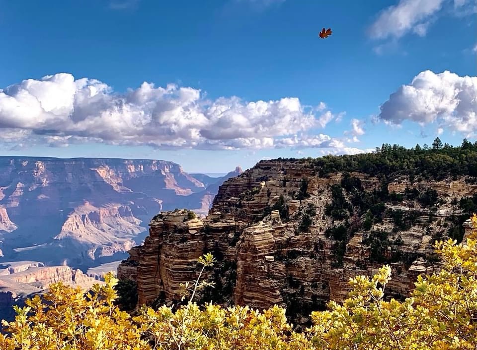 Breathtaking Views of the Grand Canyon