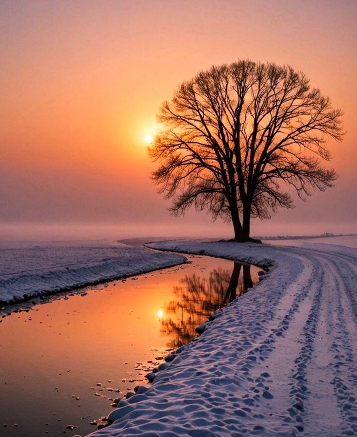 A Stunning Reflection of Winter's Sunrise