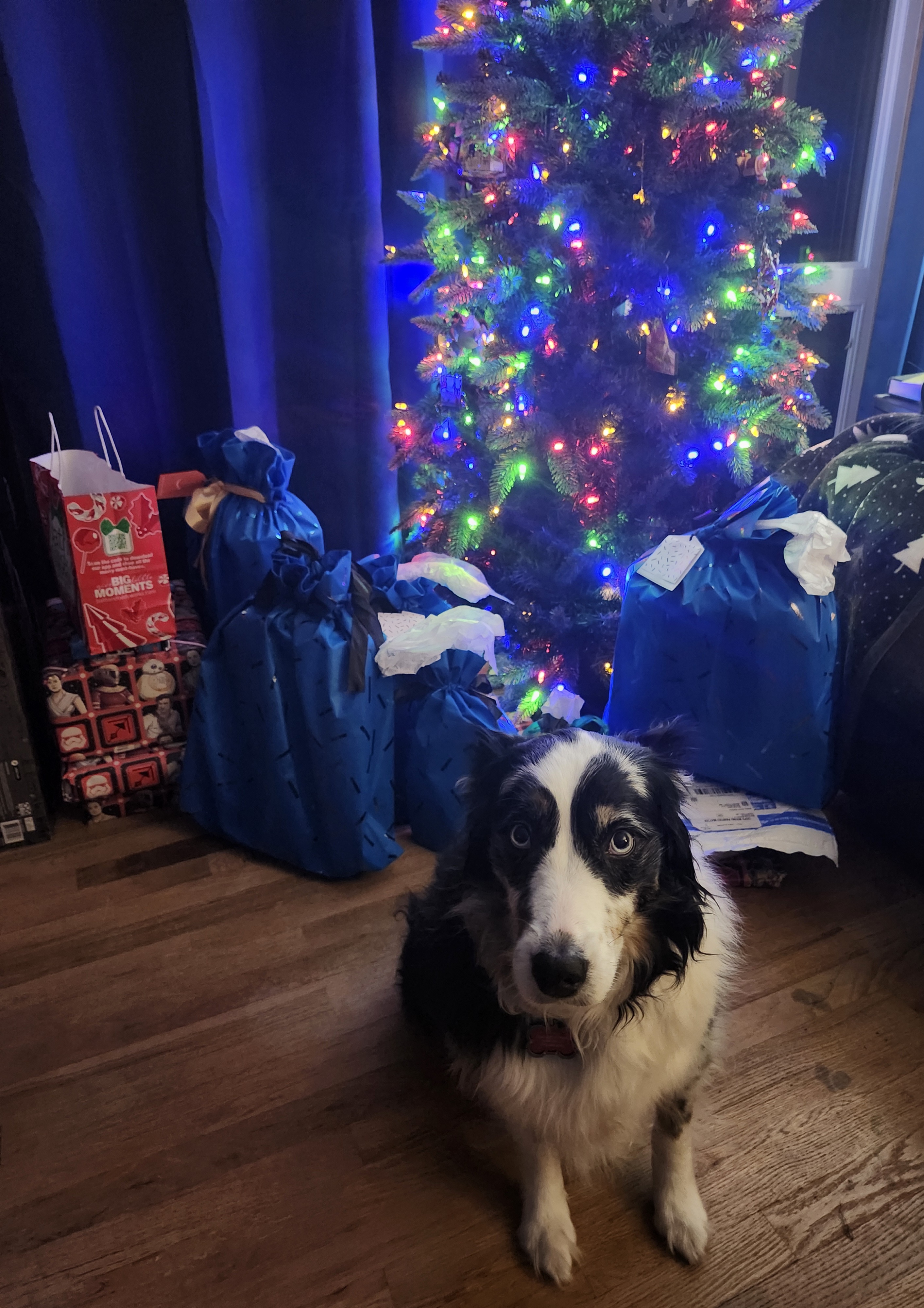 Say Cheese with the Merry Christmas Pet Selfie Stand-in!
