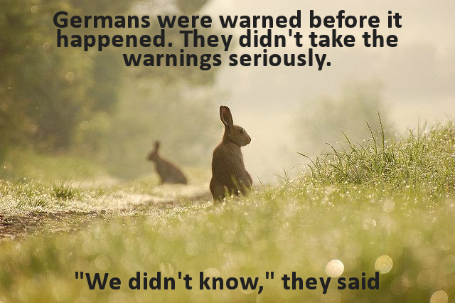 Looking at Germany's past to understand America's future.