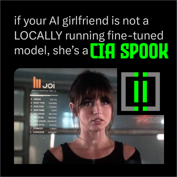 If your AI girlfriend isn't a locally running fine-tuned model, then she's just not cutting it!