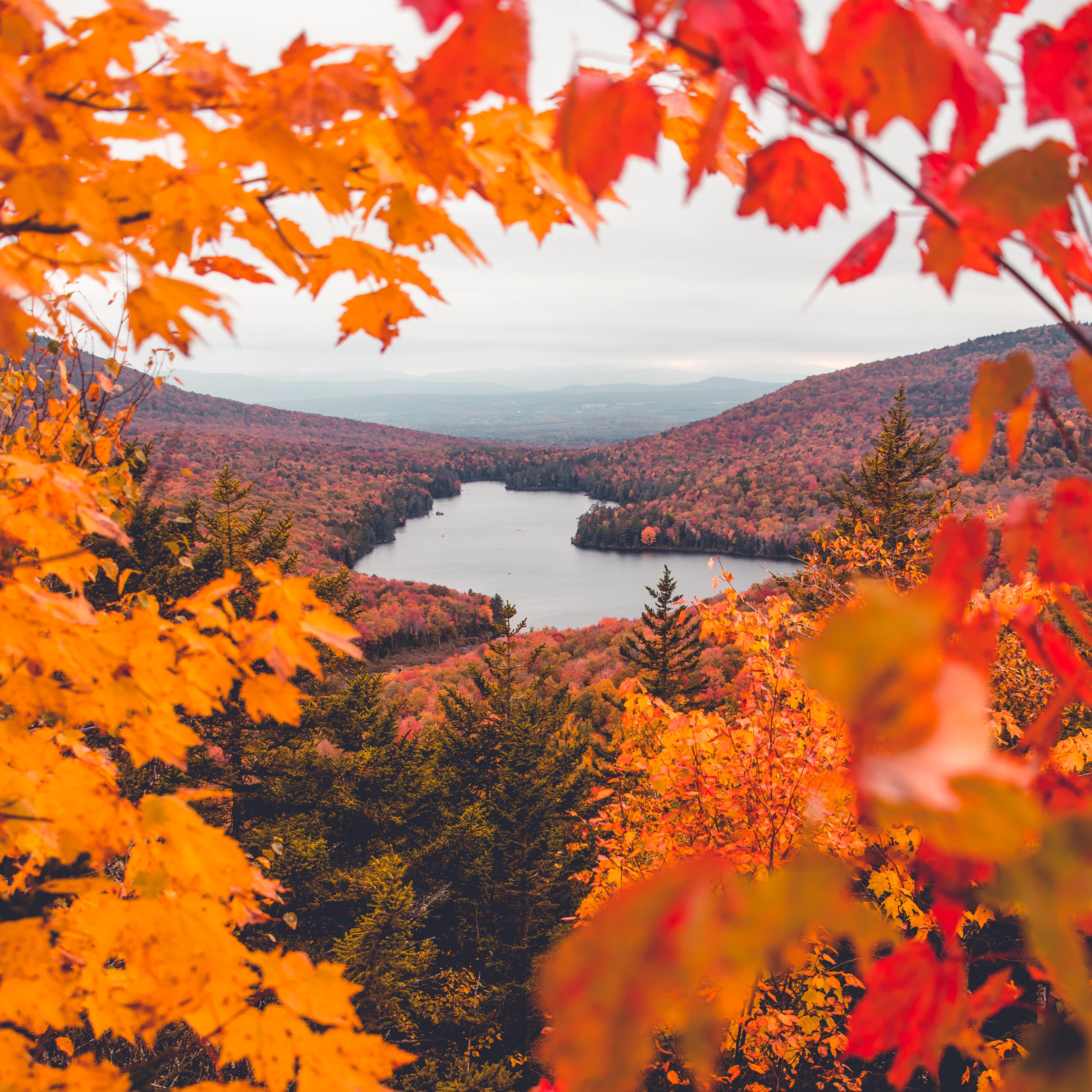 Breathtaking Autumn Beauty: A Stunning Vermont Landscape