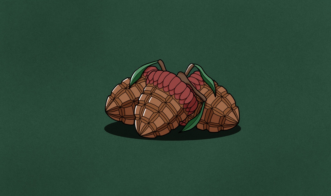 Furious Acorns Prepare for the Winter Battle!