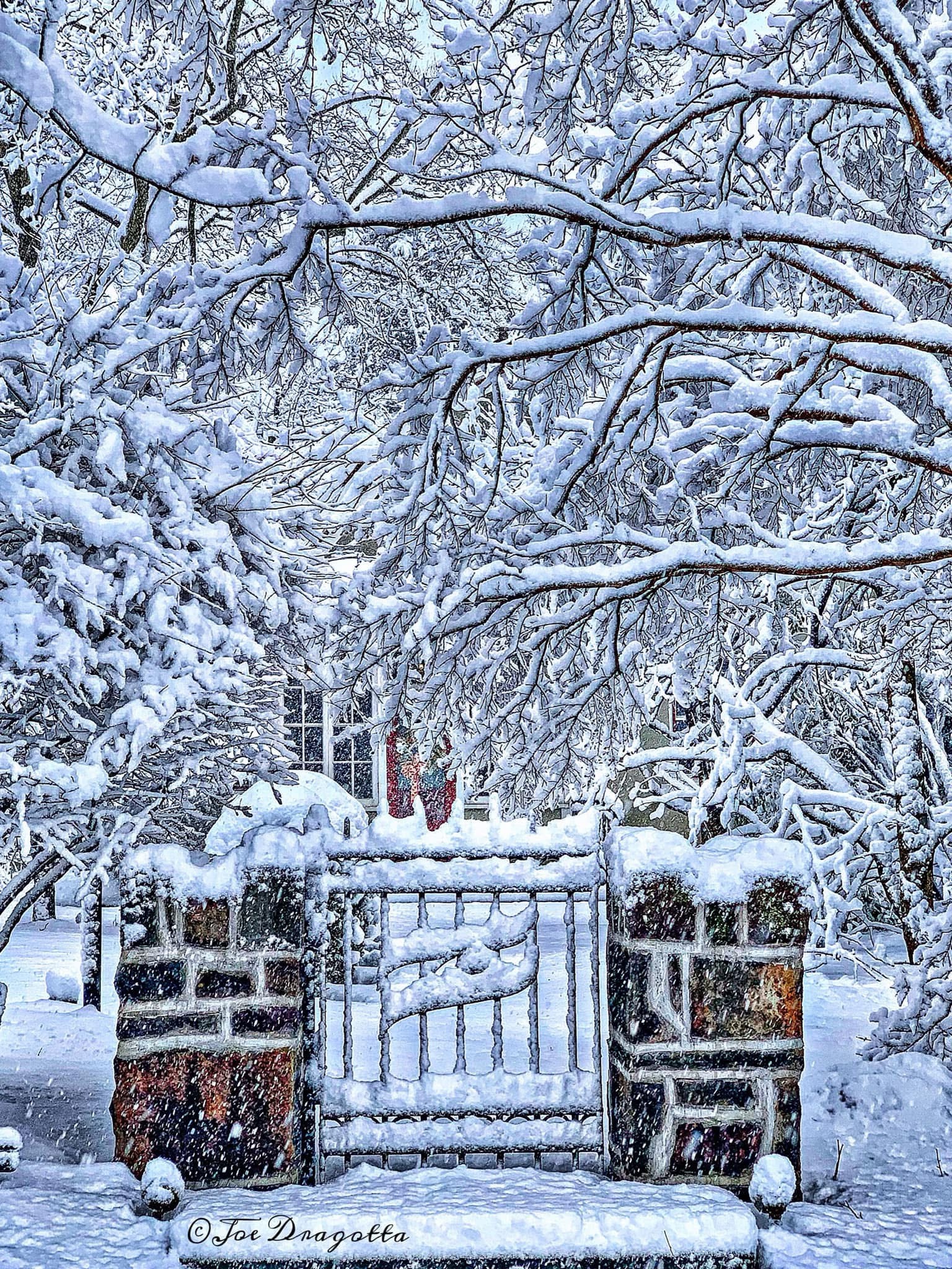 Branches Drenched in Snow: A Winter Wonderland