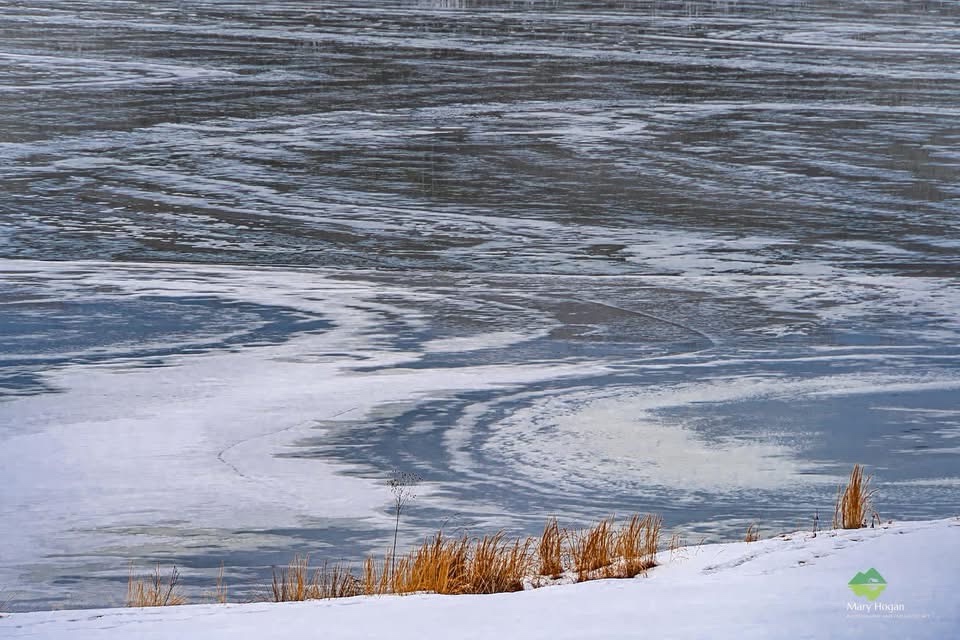 Chilling in the Frozen Wonderland