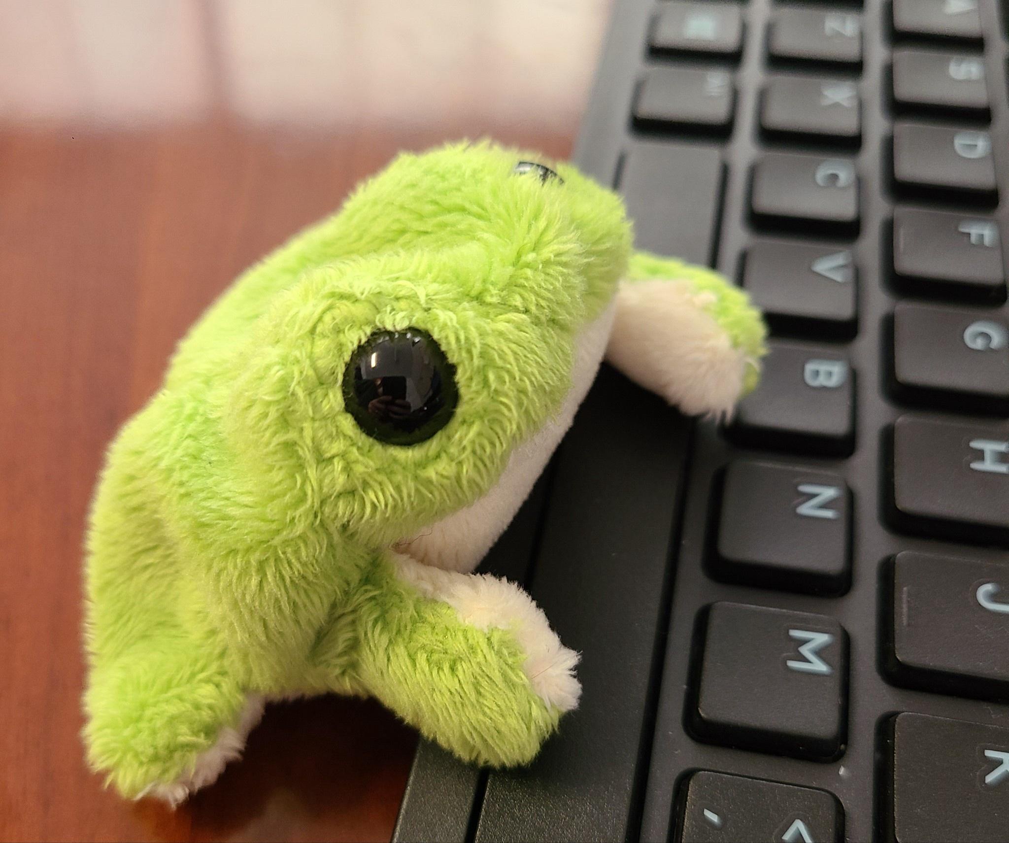 On Wednesdays, We Celebrate with Frog Dumps: Join the Fun!