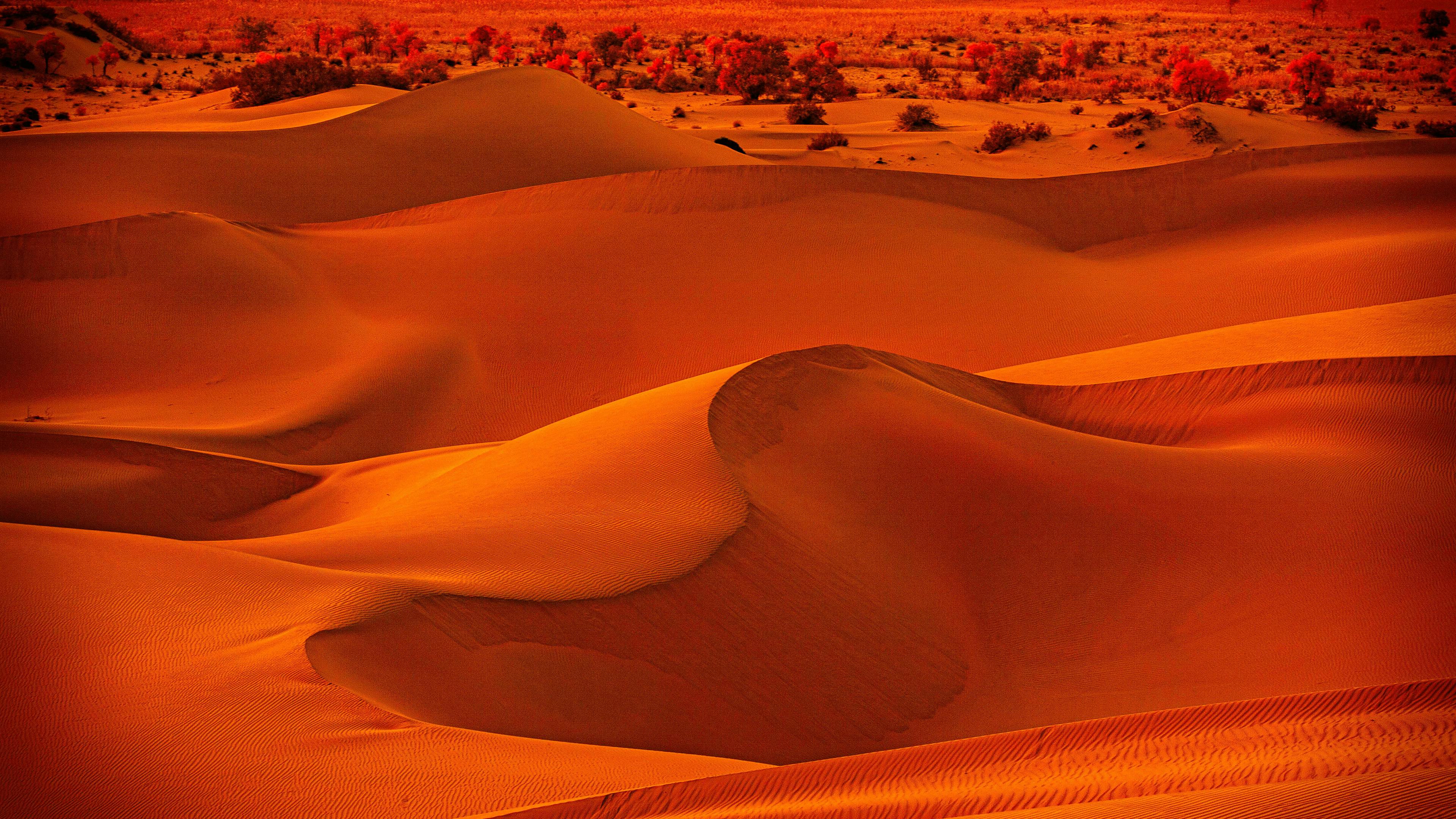 Breathtaking Beauty: The Splendor of a Desert Sunset