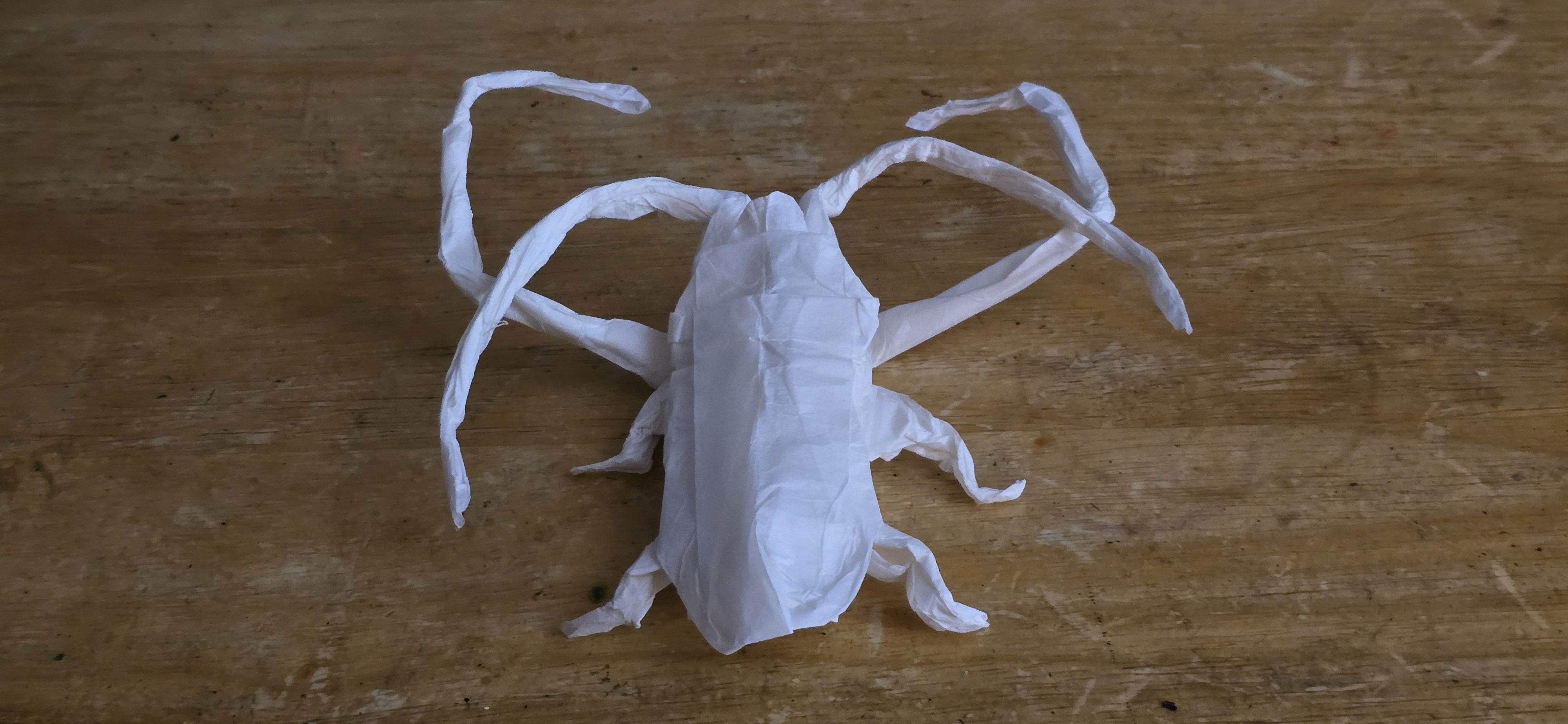 Discover the Stunning Accuracy of This Origami Model Compared to Its Real-Life Inspiration