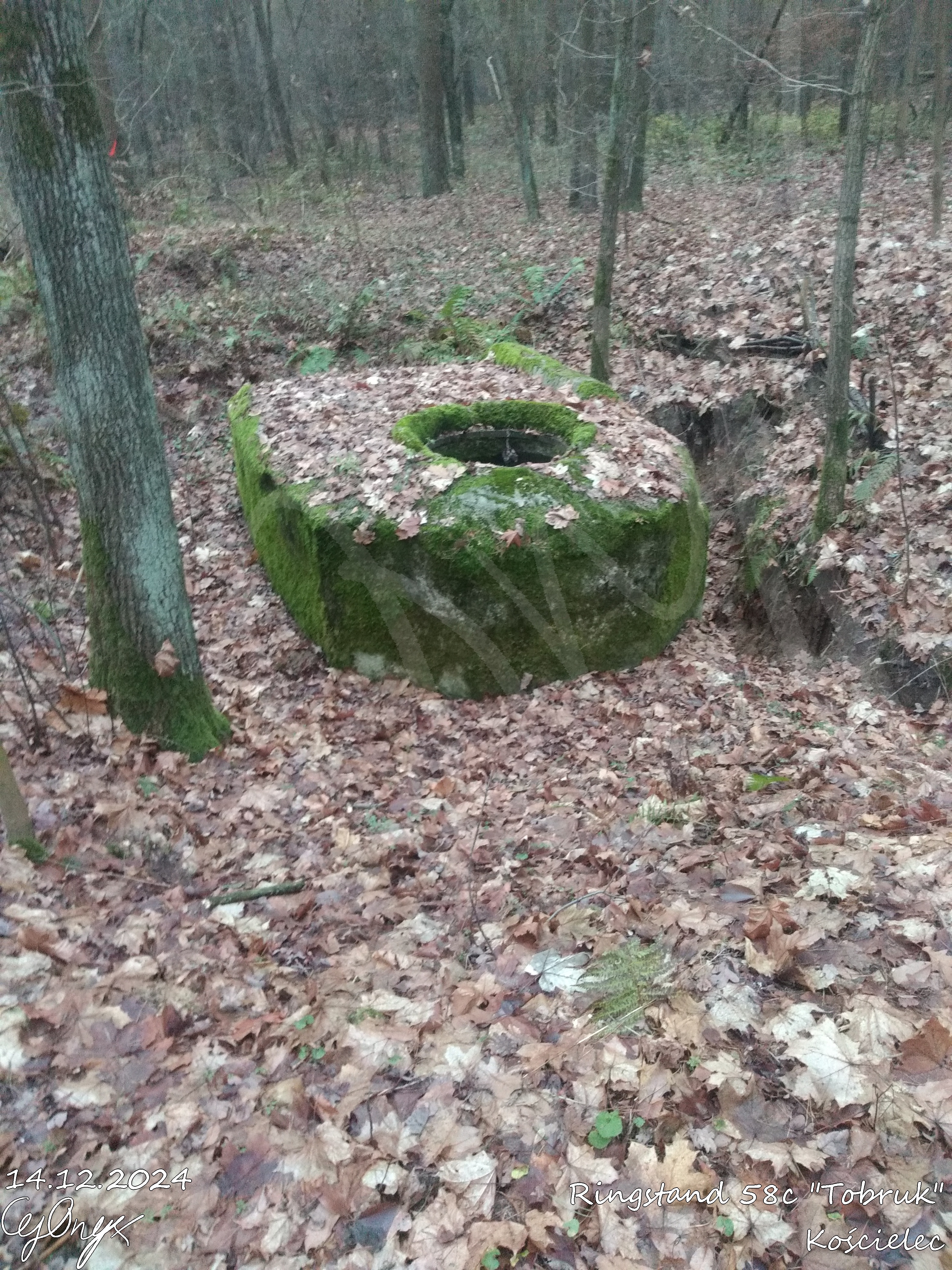 Exploring the Ringstand 58C 'Tobruk' - A Historical Gem