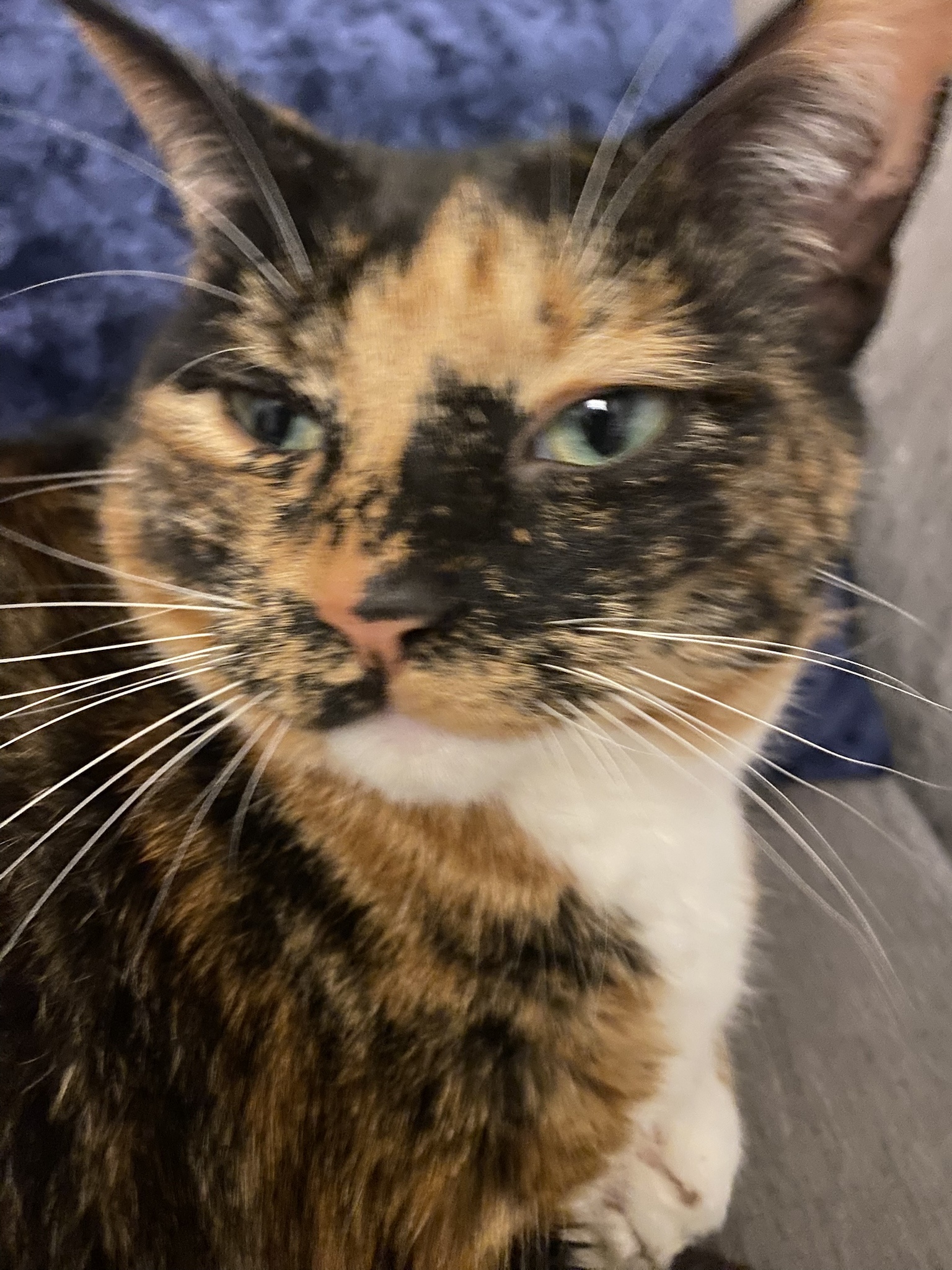 Crumble's Daily Snapshot of Cuteness