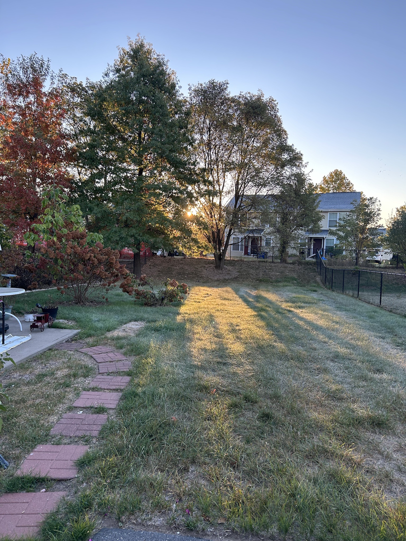 Nature's Palette: The Stunning Colors of Fall