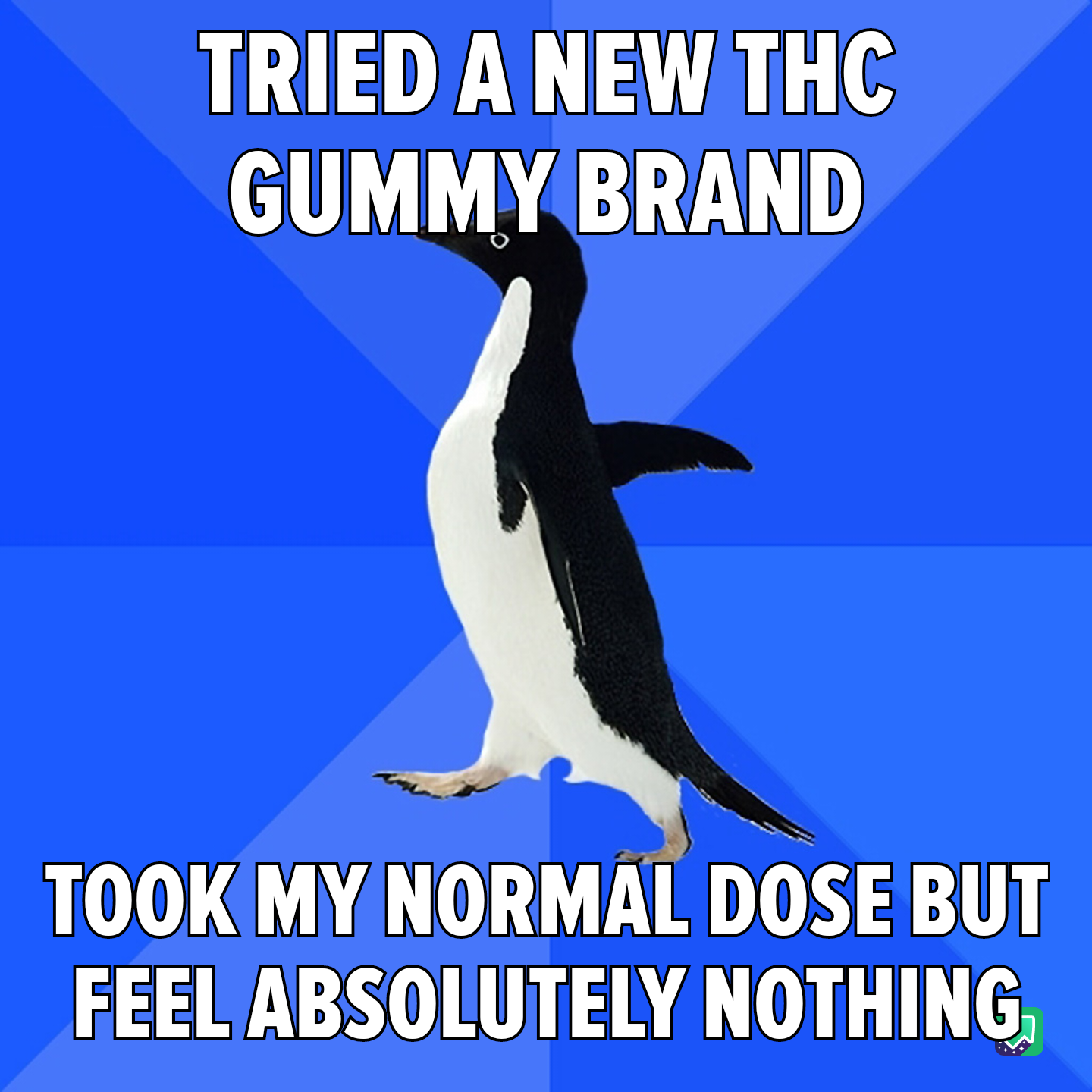 I set my expectations low, but I still managed to slide right under them!