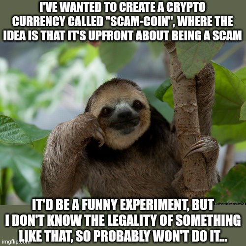Scam-Coin: We Promise to Scam You!