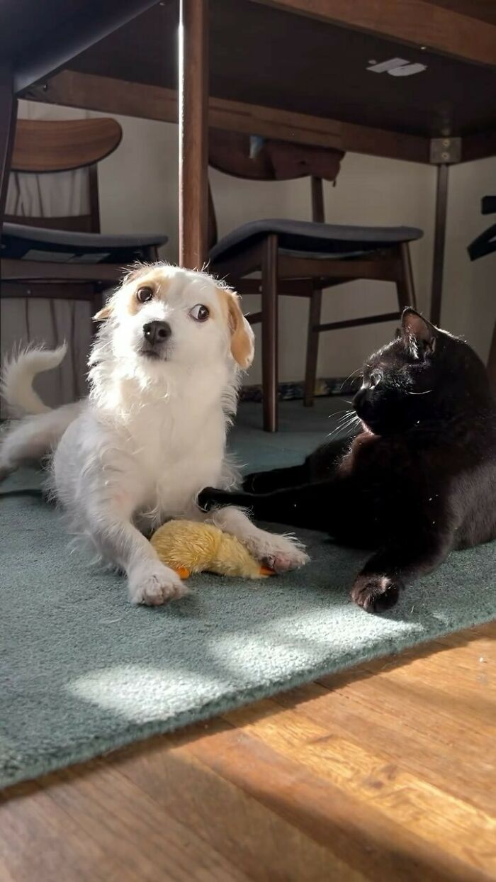 That side-eye says it all