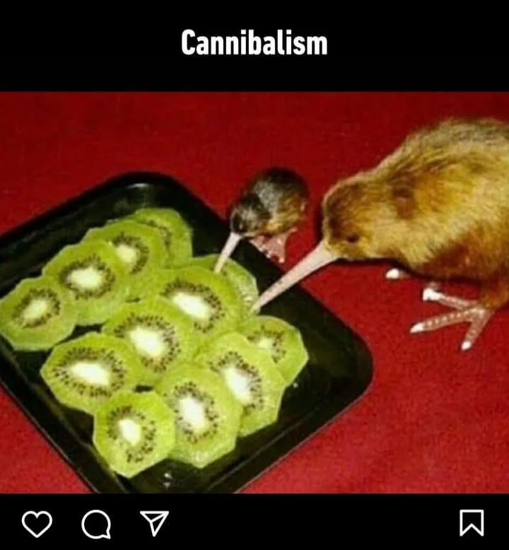 The Delightful Kiwi: A Fruit Worth Celebrating