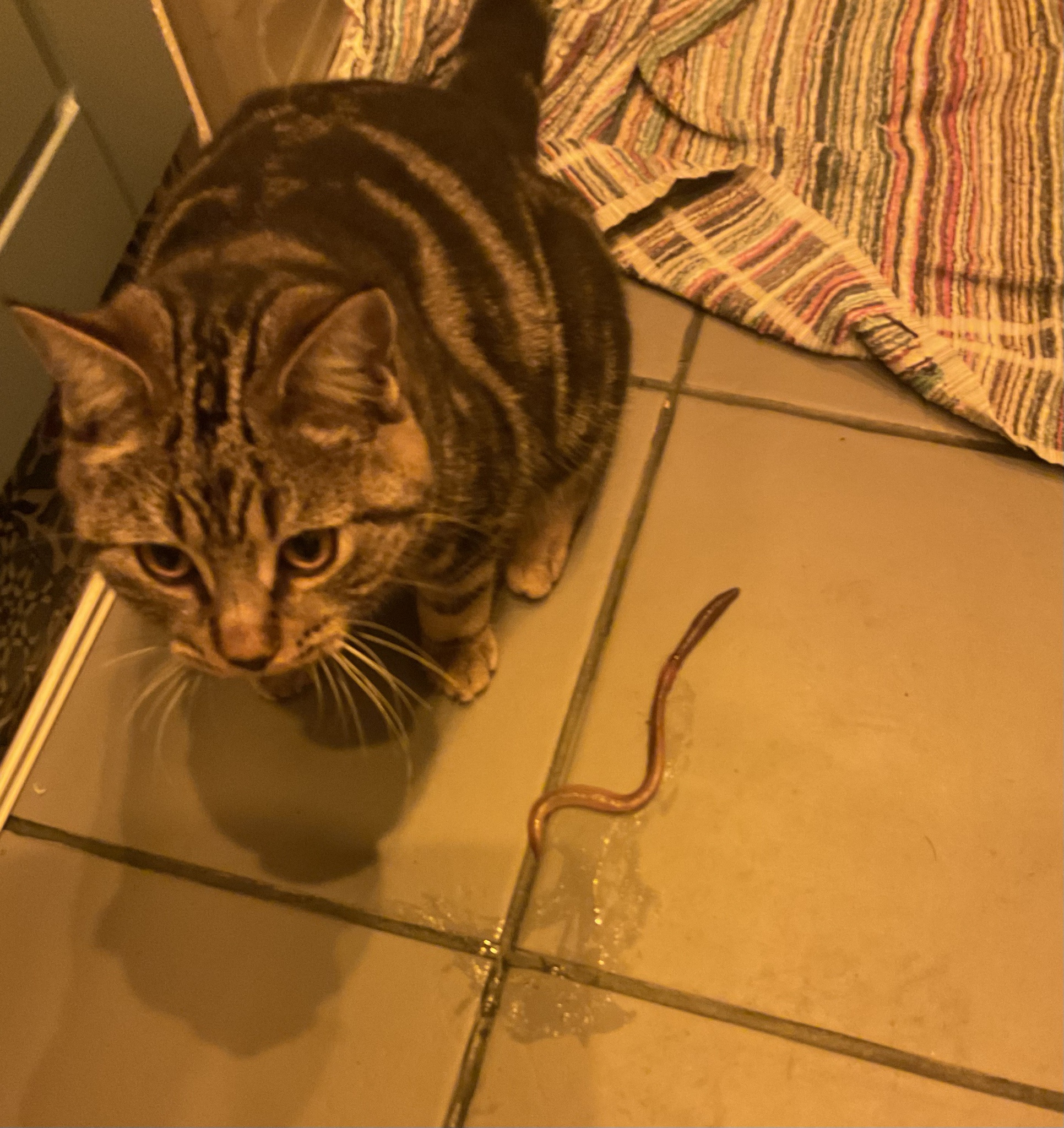 Burt Surprised Me with a Snake!