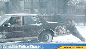 An Exciting Chase is On!