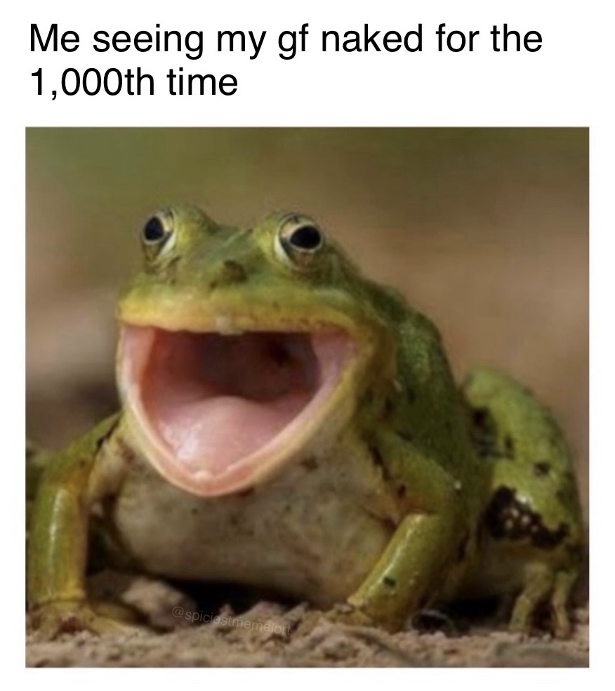 Frog Memes Galore Plus One Unexpected Surprise
