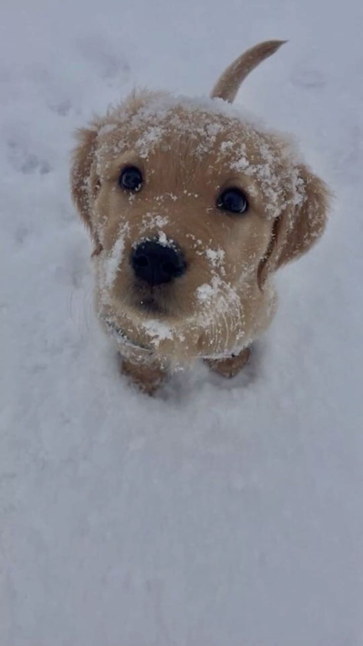 A Heartwarming Aww Moment