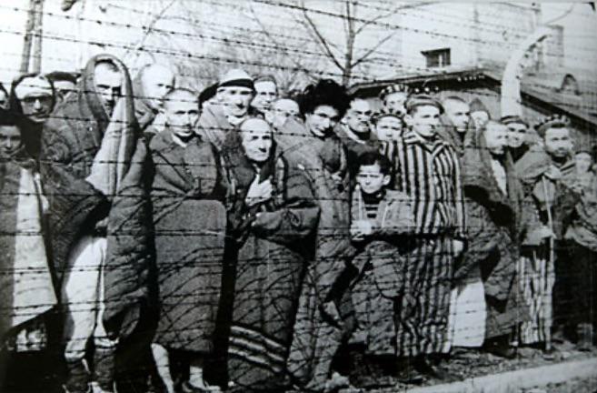 Remembering the 80th Anniversary of the Liberation of Auschwitz Concentration Camp