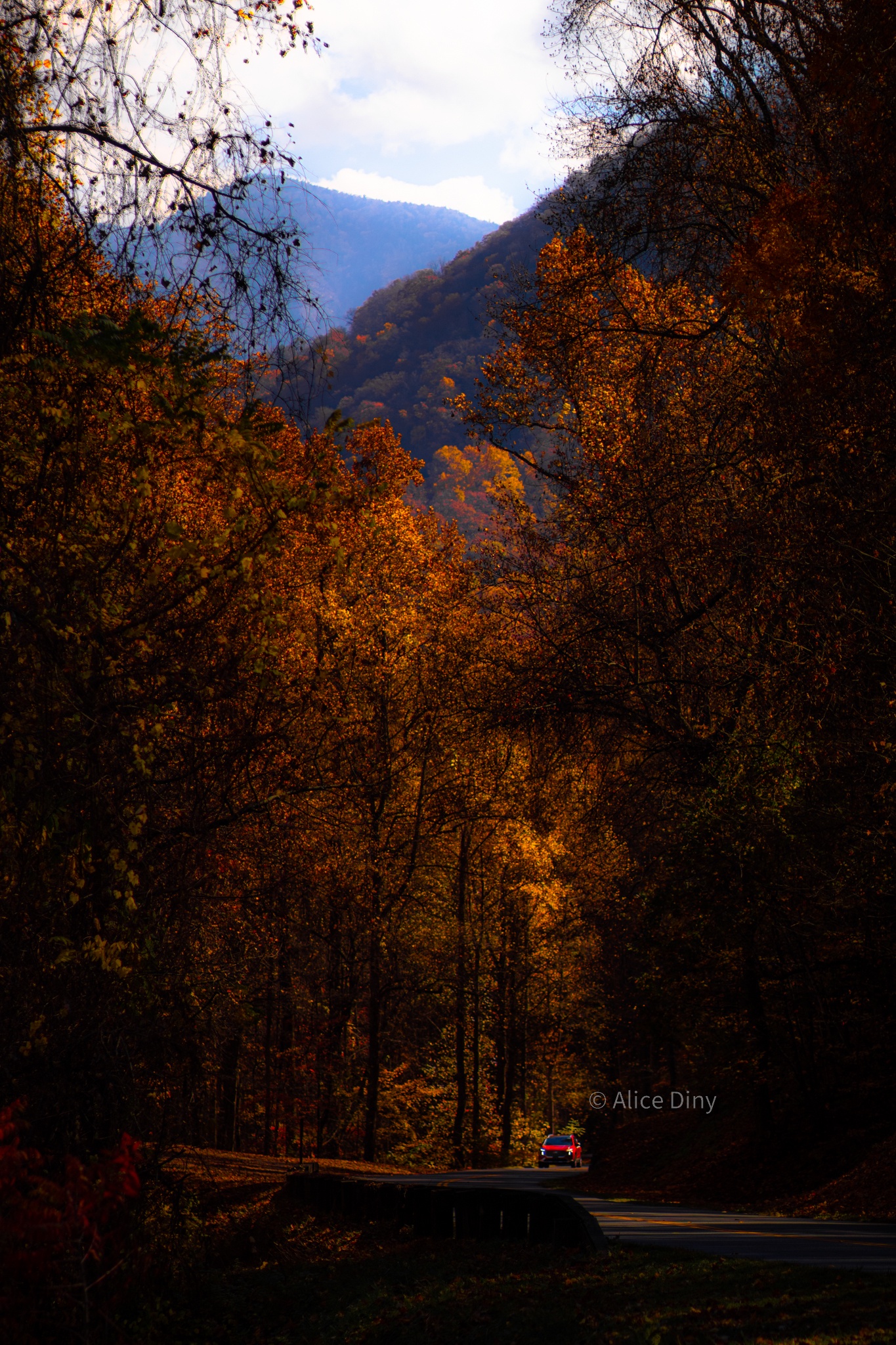 Gandalf, I Long to See the Mountains Again!