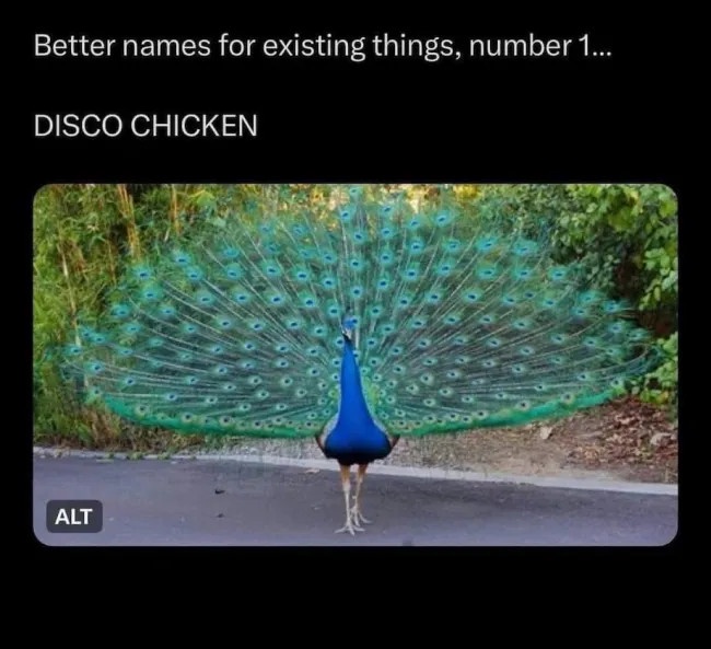 Absolutely...