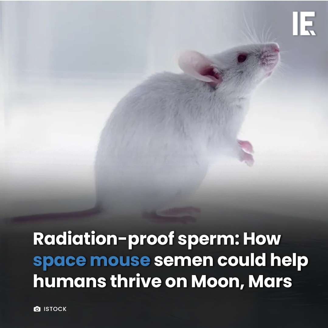 This Headline Left Me Completely Baffled