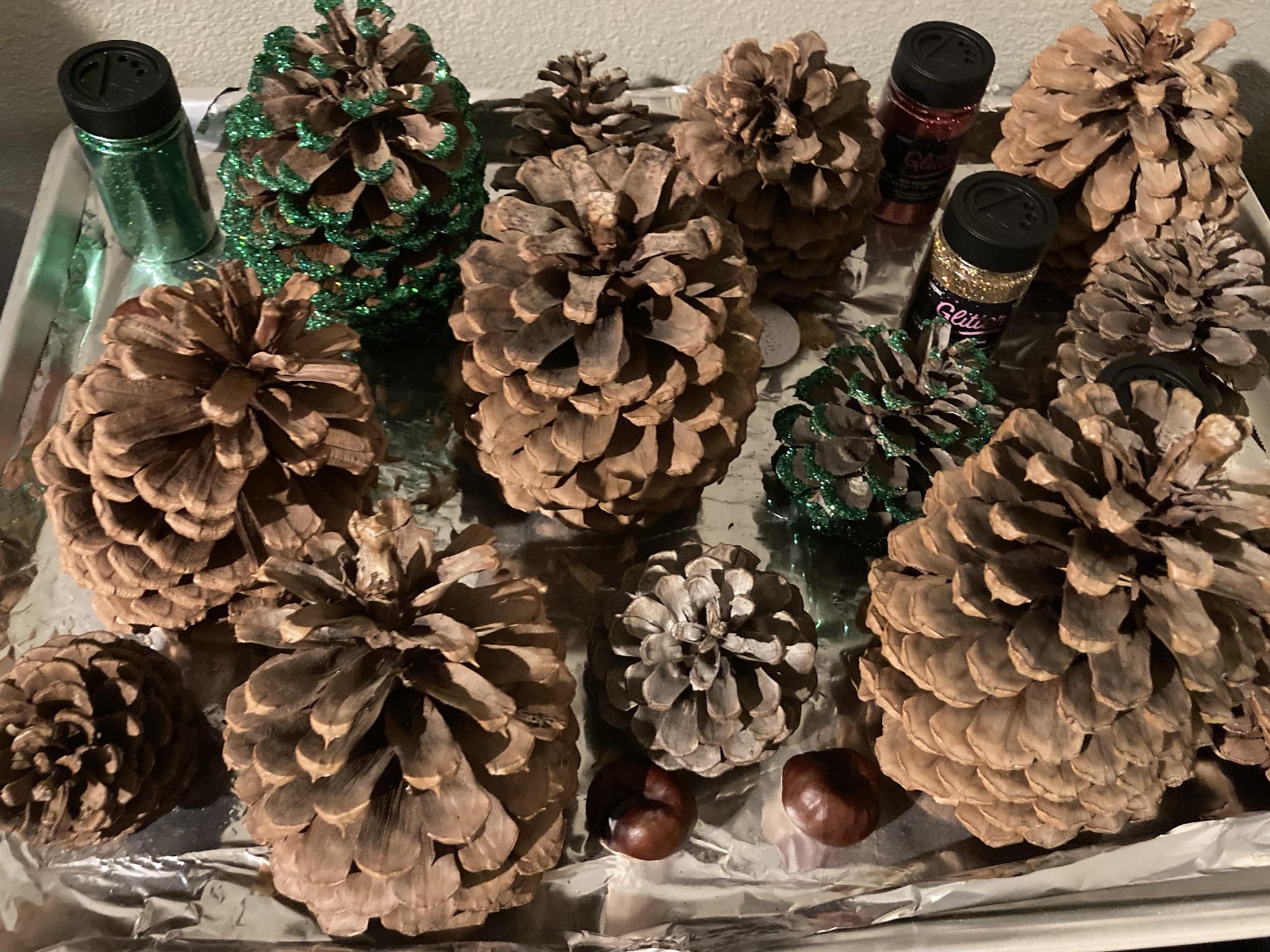 Let’s Go Team Pinecone! We’ve Got This!
