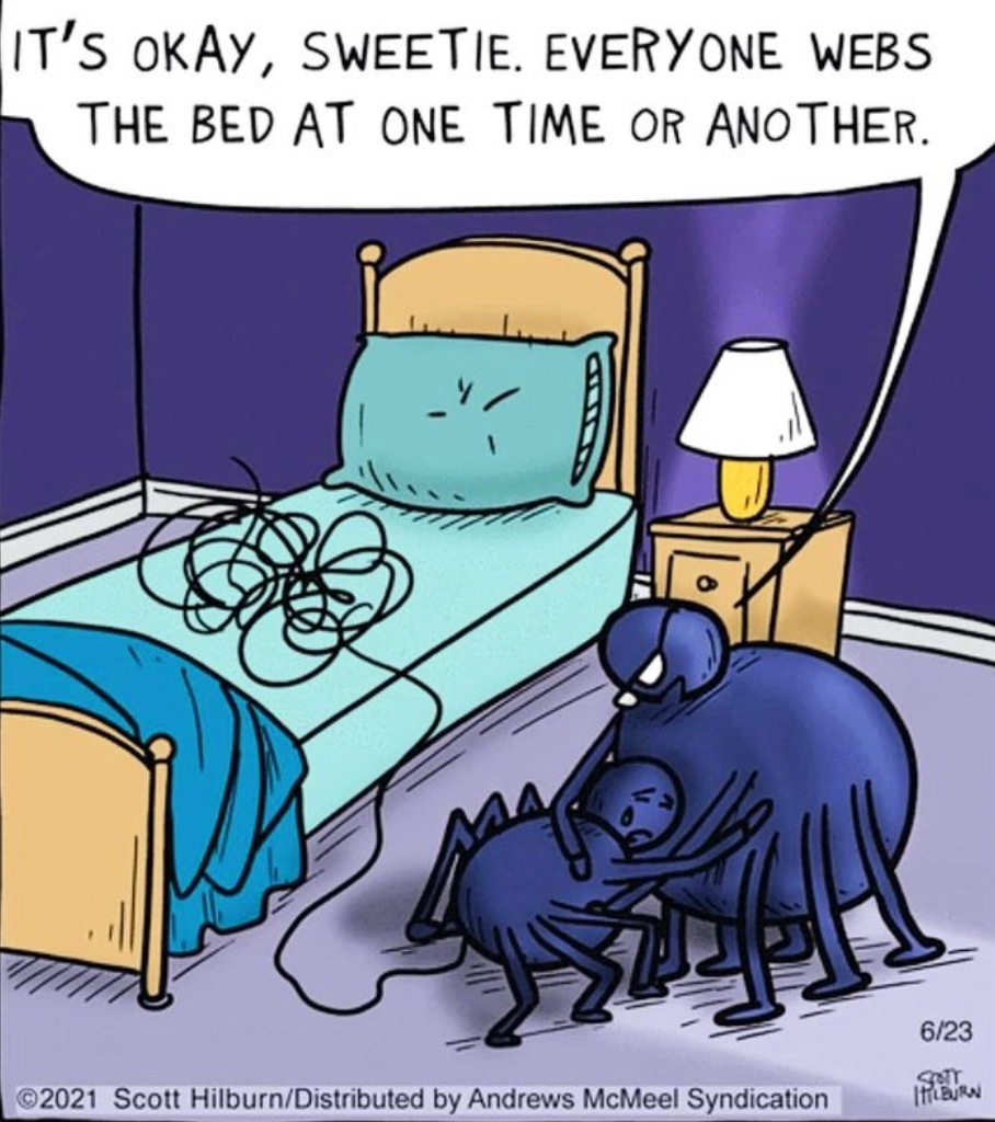 The legendary Bedwebber is here!