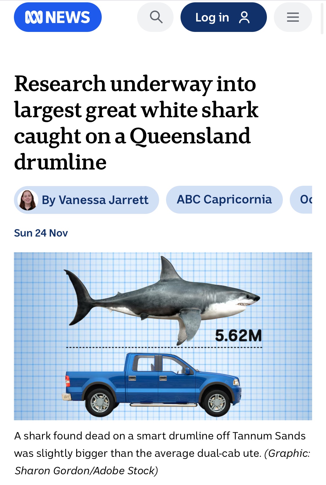That's not just any shark; THIS is the real deal!