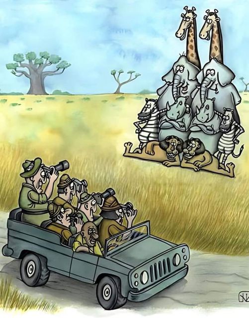 A Hilarious Take on Travel and Tourism