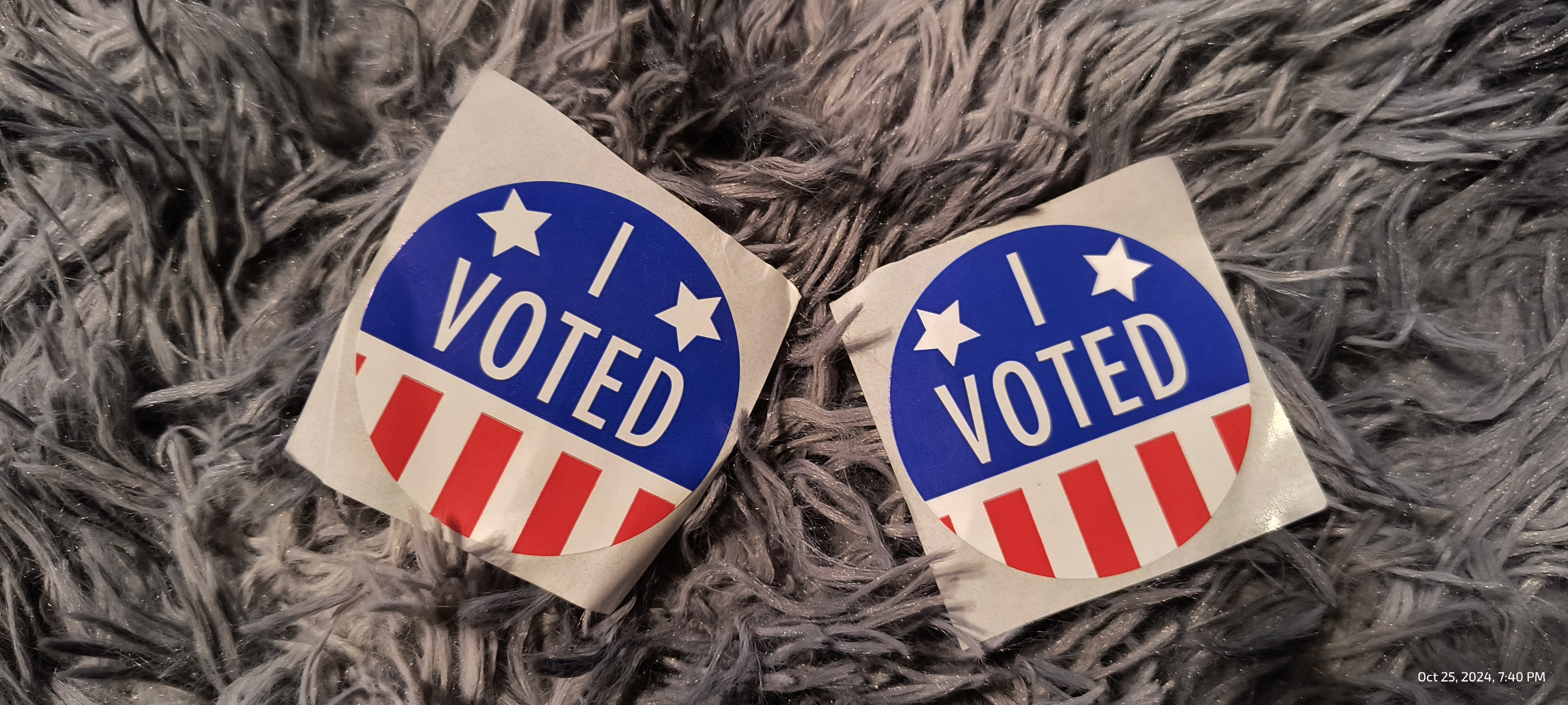 Today We Made Our Voices Heard: Voting Day