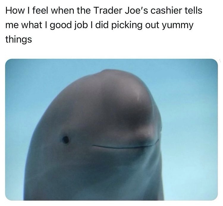 Your Late-Night Dose of Memes: Midnight Meme Dump