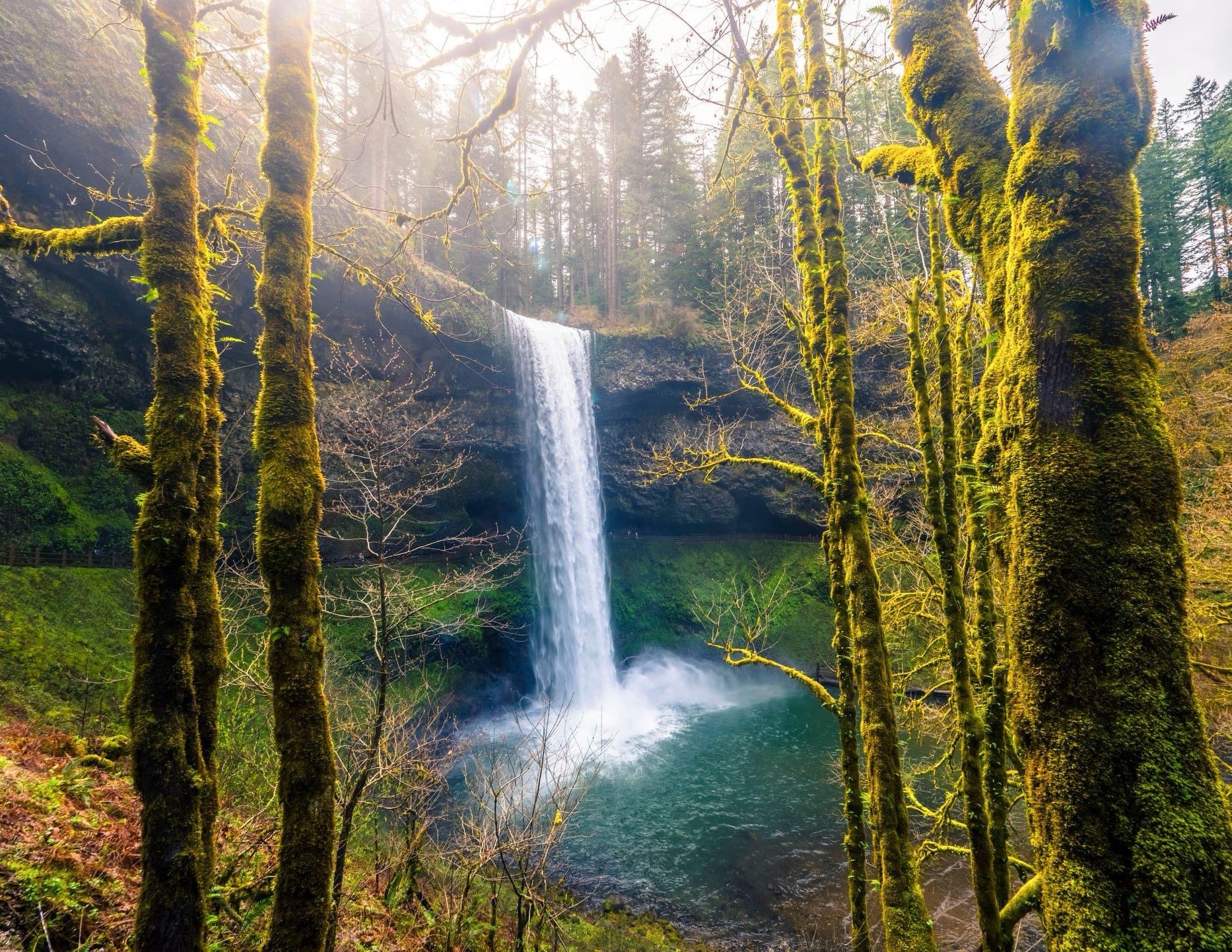 Nature's Beauty: The Majestic Waterfall