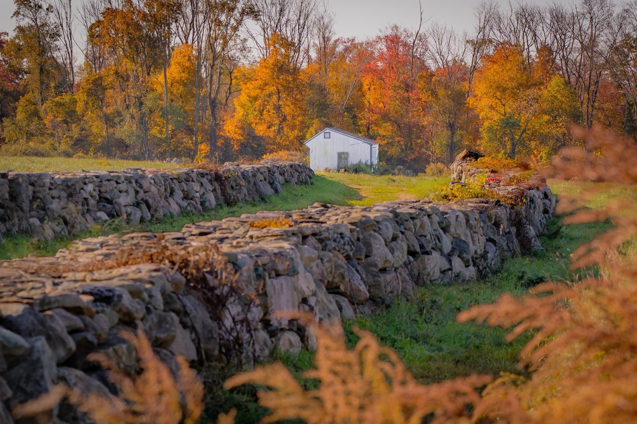 Capturing the Beauty of Autumn: A Scenic View