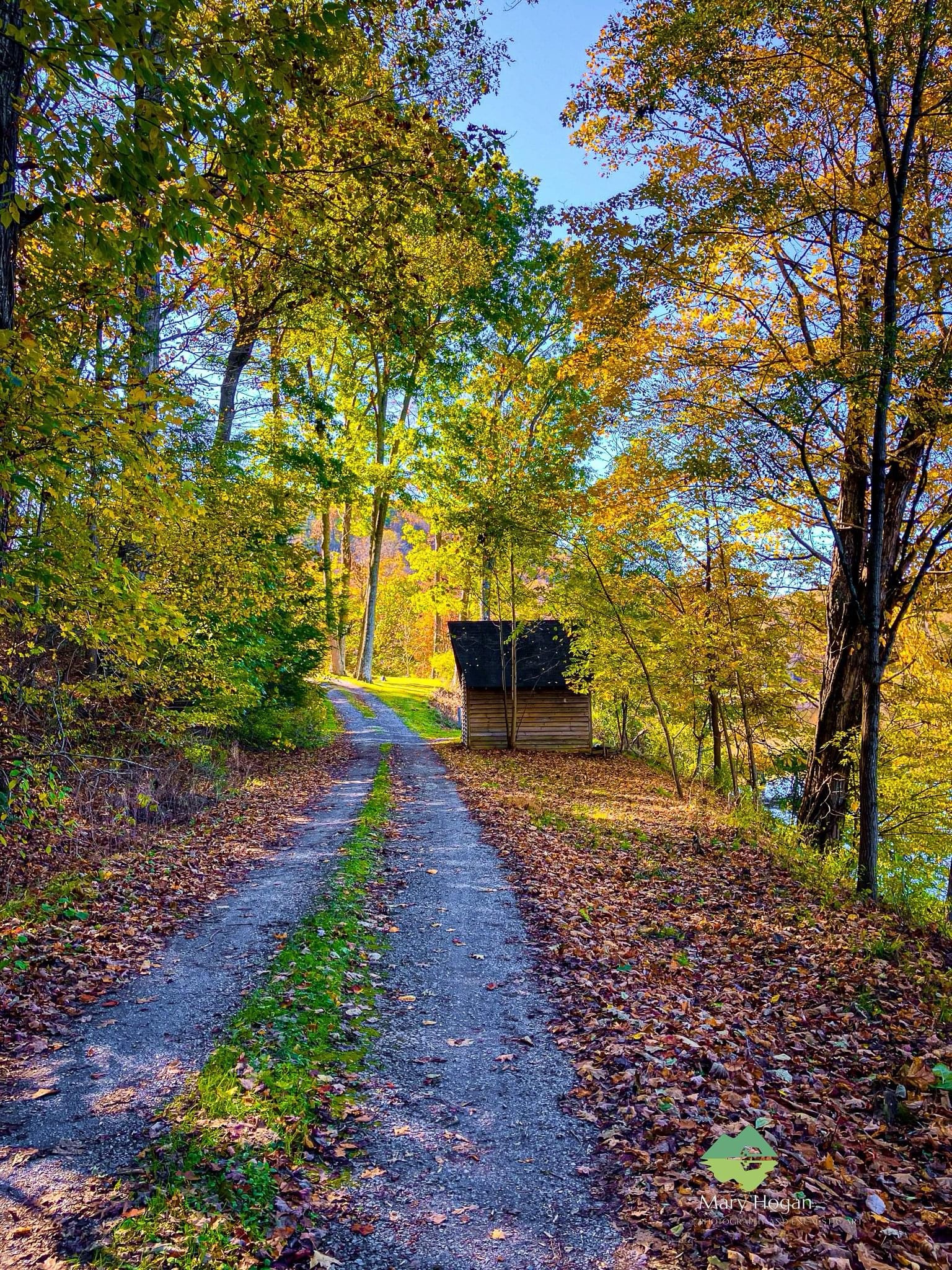 Embracing the Beauty of Autumn