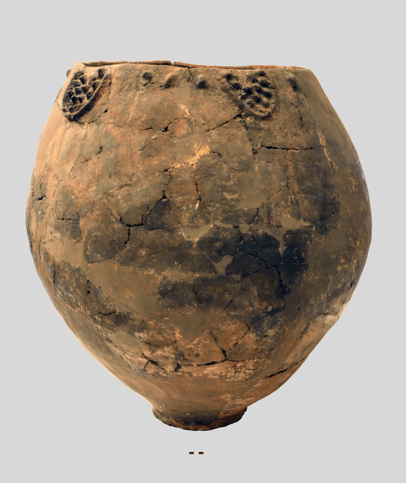 The Origins of Wine: Dating Back 8,000 Years!