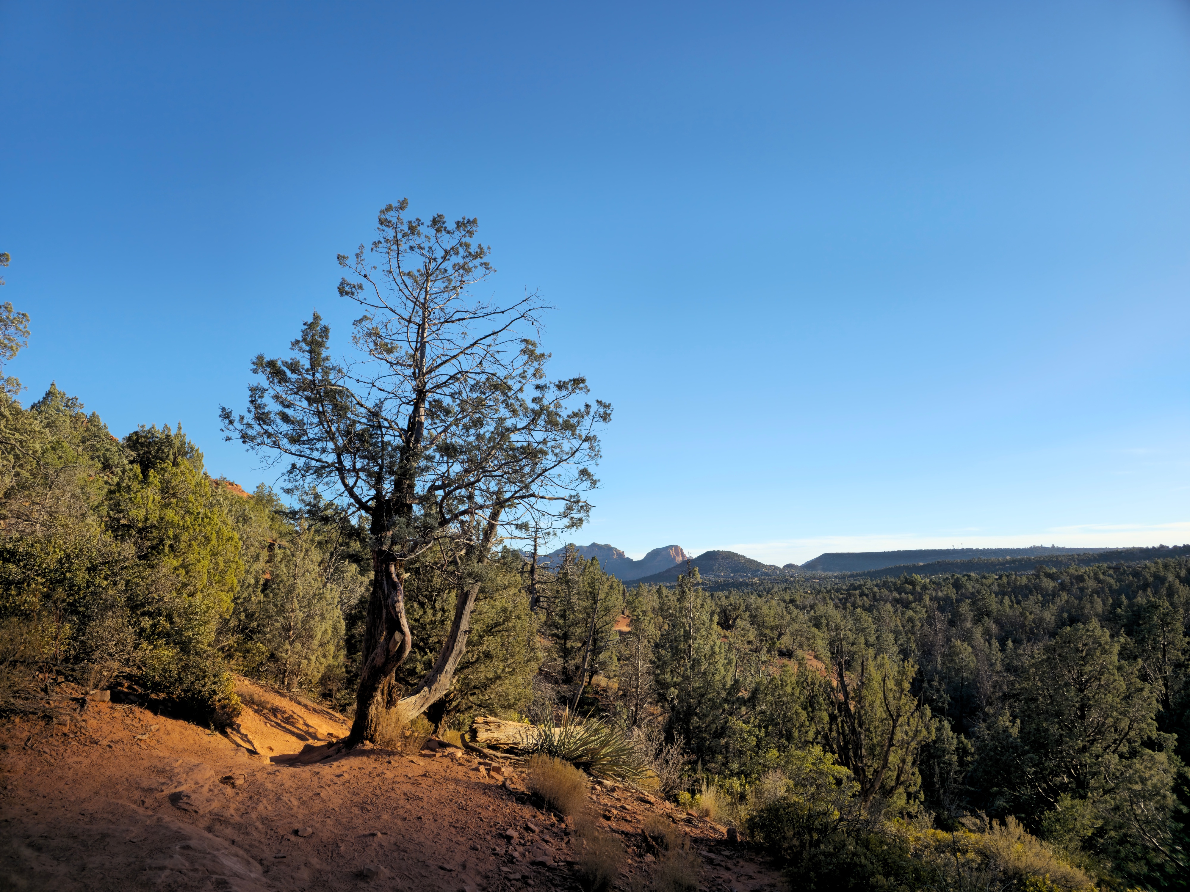 Exploring the breathtaking Soldier Pass Trail in Sedona, Arizona.
